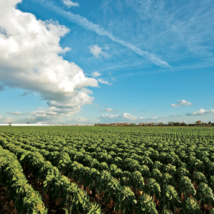 Ensemble de méthodes GC/MS Ver.2 pour les pesticides résiduels dans les aliments