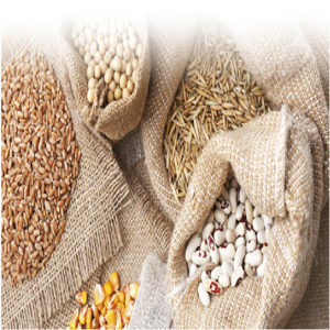 Ensemble de méthodes LC-MS/MS pour les mycotoxines